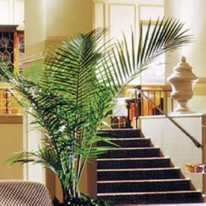 Francis Marion Charleston