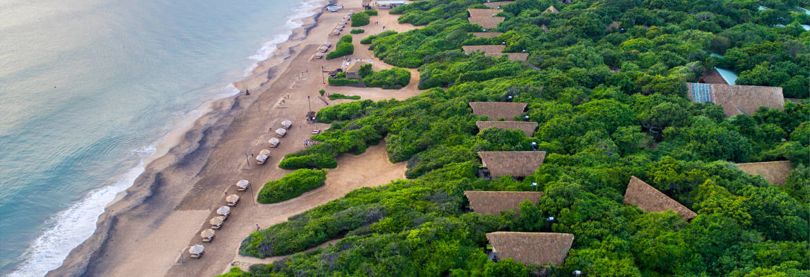 Jungle Beach By Uga Escapes