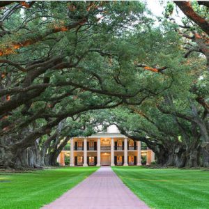 Oak Alley Plantation, Vacherie, Louisiana