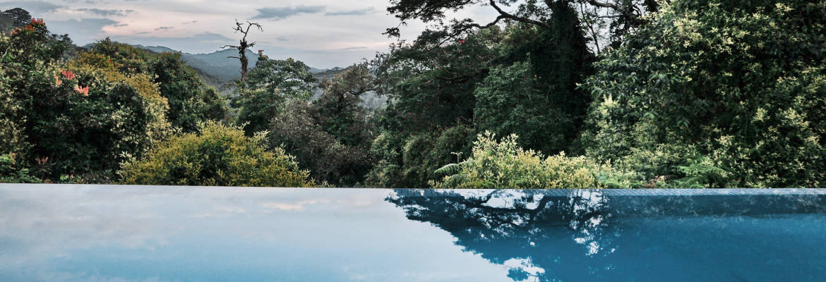 One & Only Nyungwe House