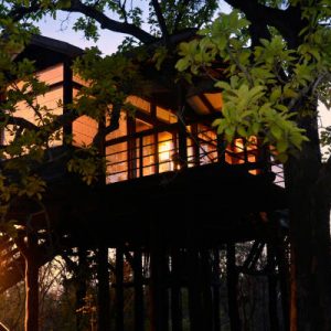 Pench Tree Lodge