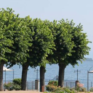 Splendido Bay Luxury Spa Resort