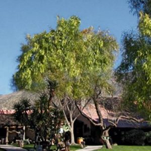 Tanque Verde Ranch, Tucson