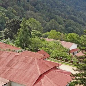 Windermere Estate, Munnar